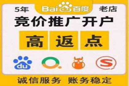 SEM推广代运营案例：品牌塑造
